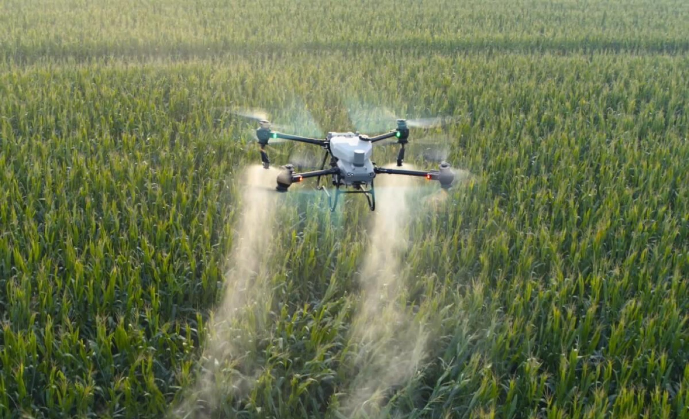 DJI Agras T50 agricultural drone spraying a field